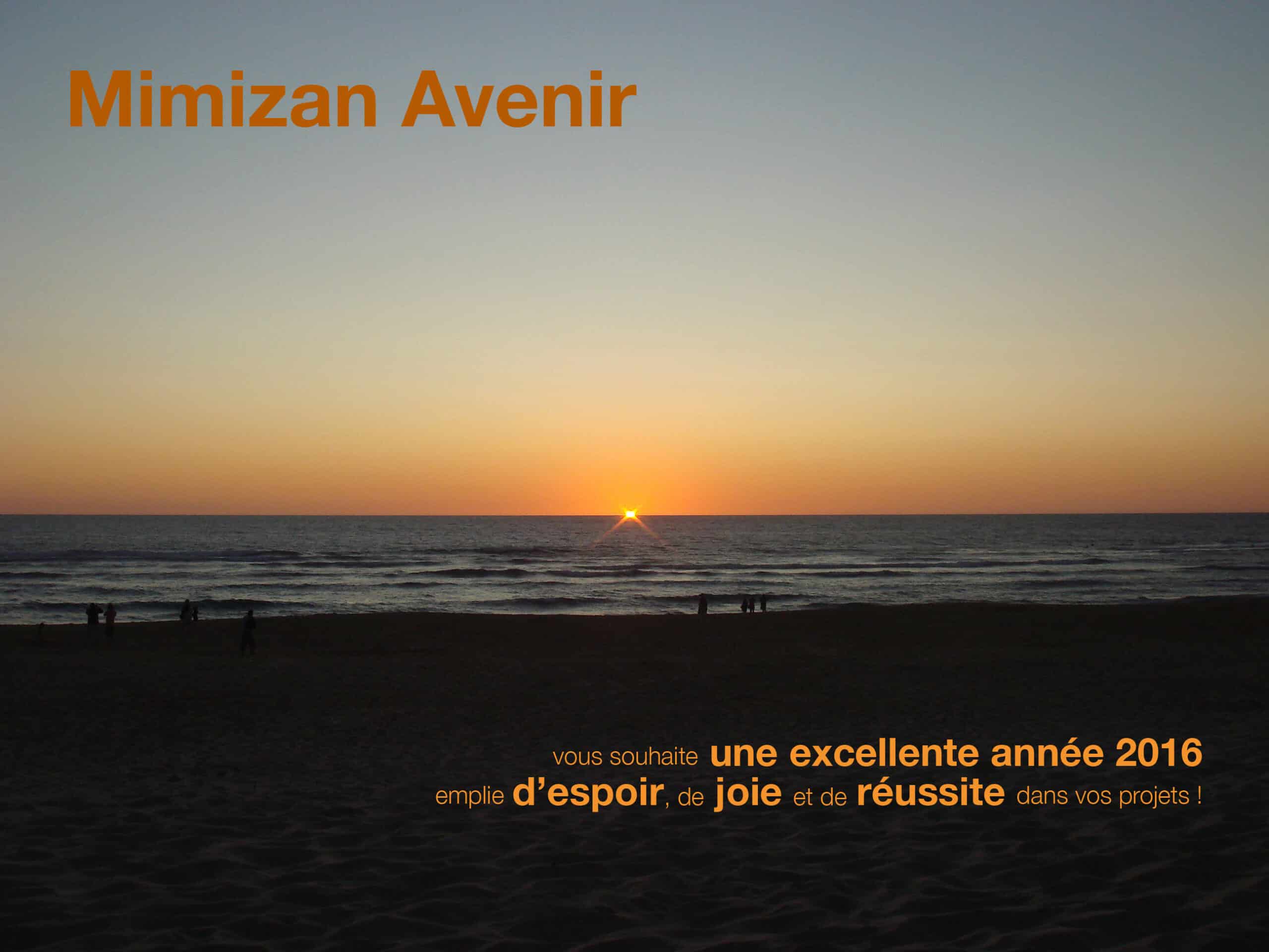 mimizan avenir voeux 2016 - version CB - Copie copie